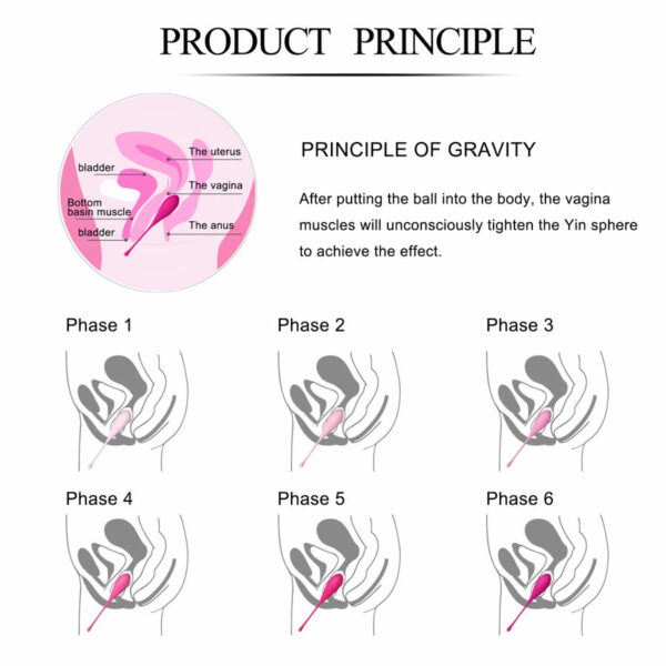 LESLIE - KEGEL FIT ENTREGADOR SUELO PELVICO 6 PESOS - Imagen 14