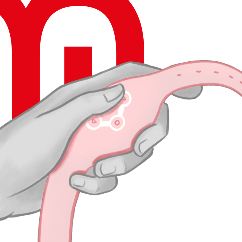 WATCHME - RELOJ CONTROL REMOTO WIRELESS TECHNOLOGY ROSORAL - Imagen 10