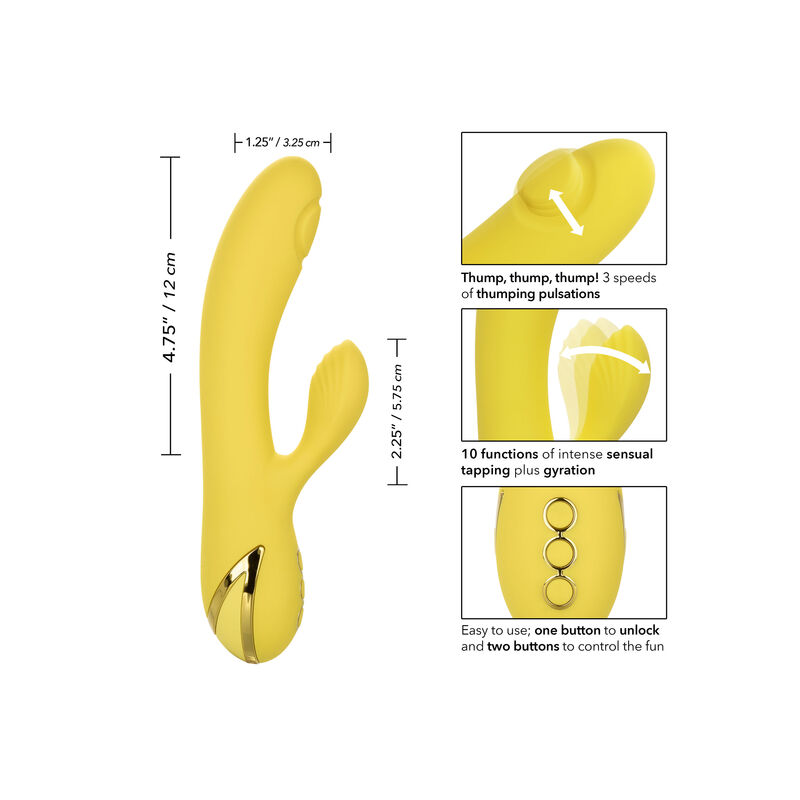 CALEXOTICS - SAN DIEGO SEDUCTION - Imagen 6