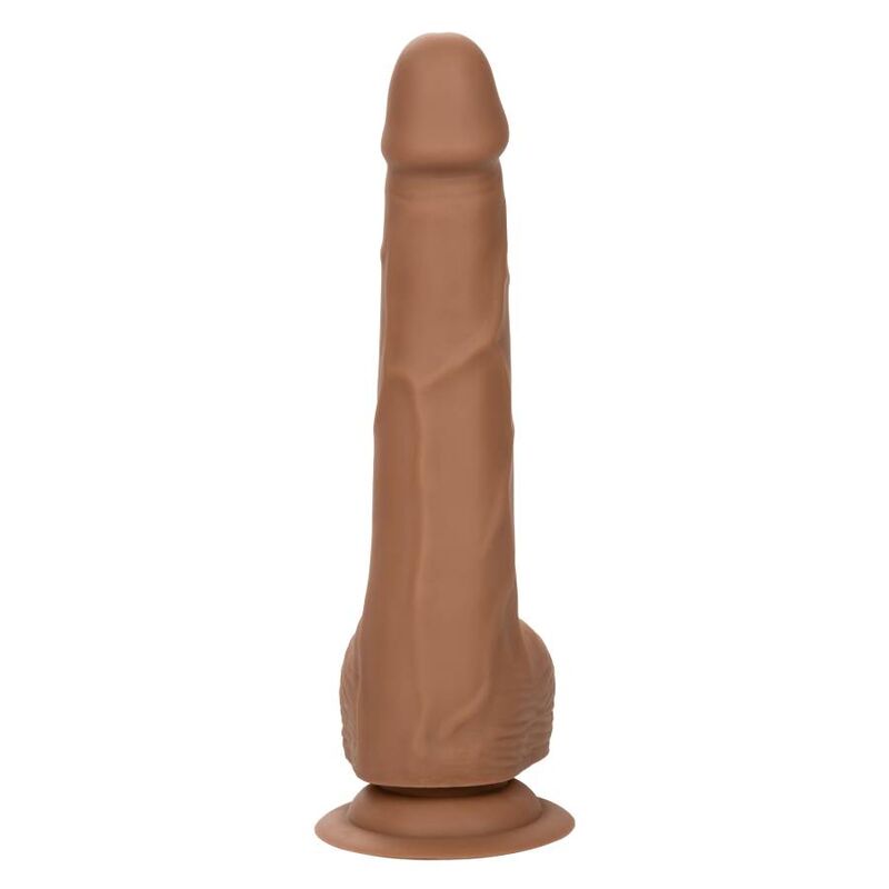 CALEXOTICS - SILICONE STUDS 20.32 CM BROWN - Imagen 8