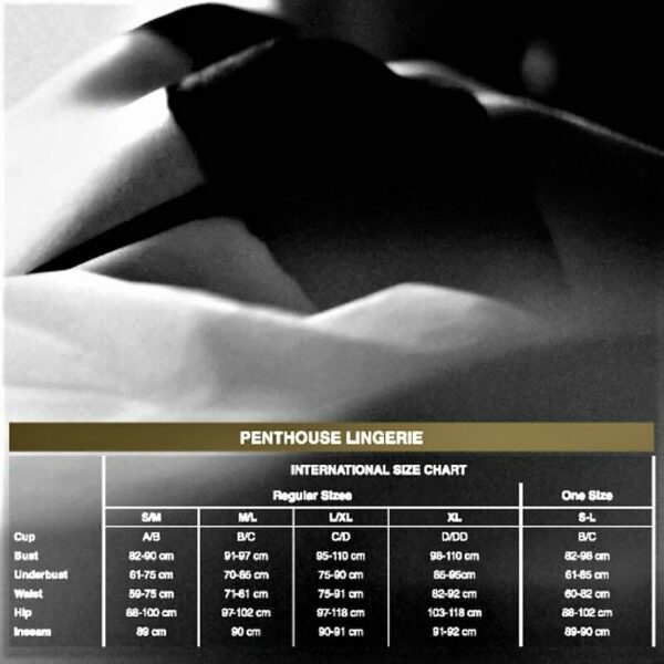 PENTHOUSE - DEVILS ADVOCATE TEDDY XL - Imagen 3