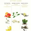 EYE OF LOVE - EOL PHR PERFUME FEROMONAS 10 ML - AFTER DARK - Imagen 3