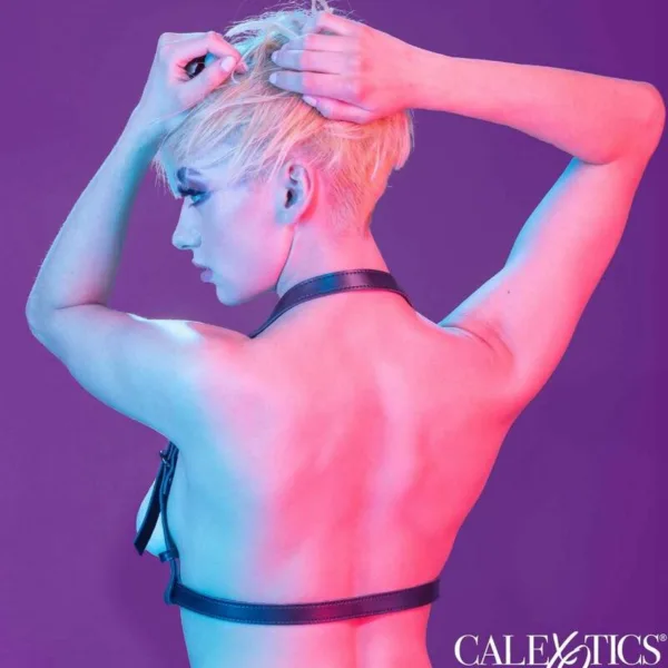 CALEXOTICS - EUPHORIA ARNÉS HATLER CON HEBILLA NEGRO - Imagen 6