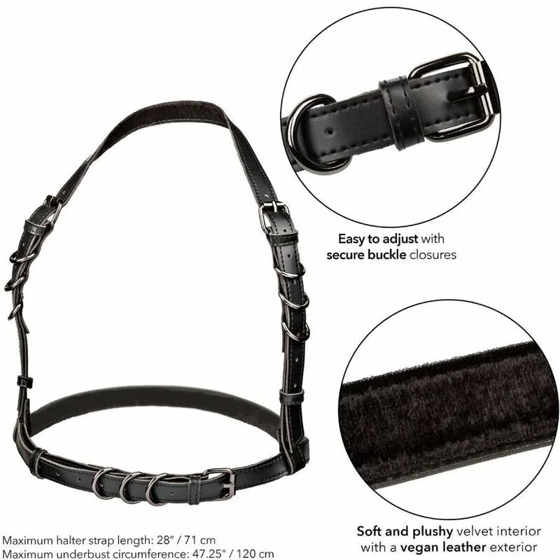 CALEXOTICS - EUPHORIA ARNÉS HATLER CON HEBILLA TALLA GRANDE NEGRO - Imagen 5