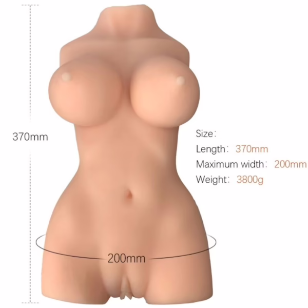 ARMONY - TORSO FEMENINO REALÍSTICO MODELO 7 - Imagen 6