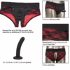 CALEXOTICS - SCANDAL SET DE BRAGUITAS SIN ENTREPIERNAS CON DILDO TALLA S/M - Imagen 6