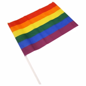 PRIDE - BANDERIN GRANDE BANDERA LGBT