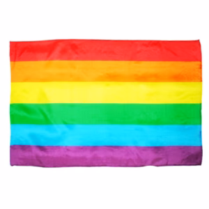 PRIDE - BANDERA GRANDE LGBT