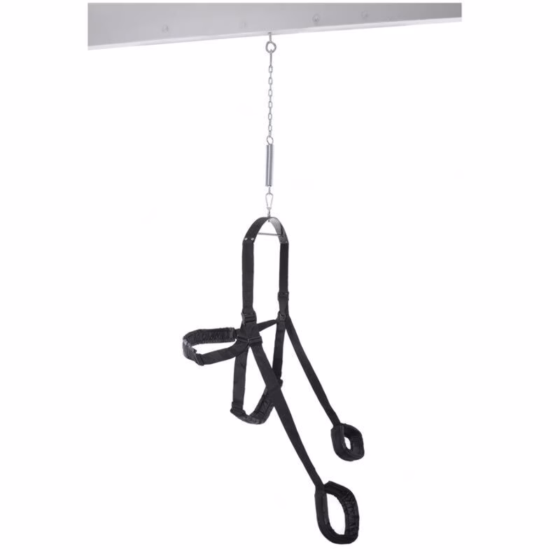 FETISH FANTASY SERIES - COLUMPIO ERÓTICO FANTASY SWING NEGRO